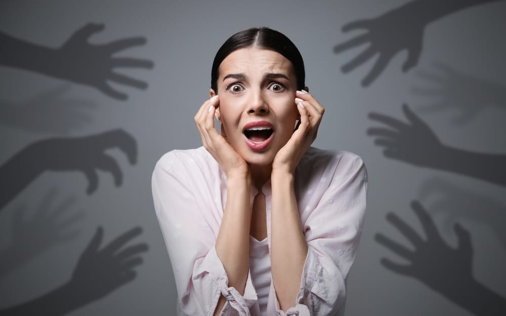 Paranoia Human How to Deal with Paranoia - Signs and Treatment Program