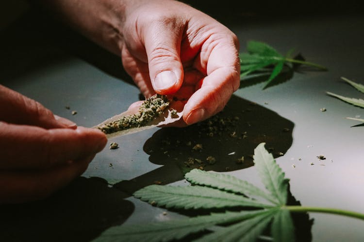 How Does THC Affect My Body