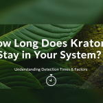 How Long Does Kratom Stay in Your System