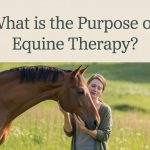 What is the Purpose of Equine Therapy