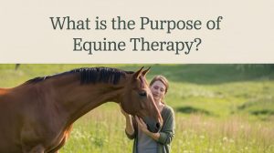 What is the Purpose of Equine Therapy