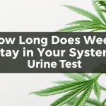 How Long Does Weed Stay in Your System for a Urine Test