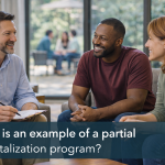 What is an Example of a Partial Hospitalization Program
