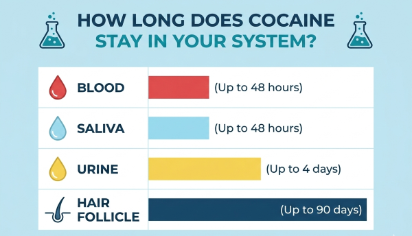 Comparing Clearance in Occasional vs. Chronic Users