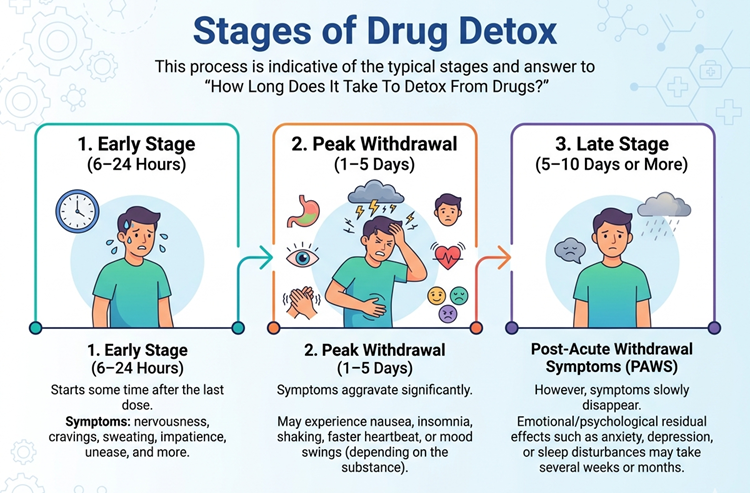 Stages of Drug Detox