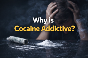 Why is Cocaine Addictive