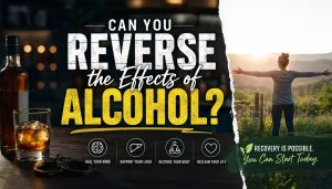 Can You Reverse the Effects of Alcohol