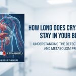How Long Does Crystal Meth Stay In Your Blood