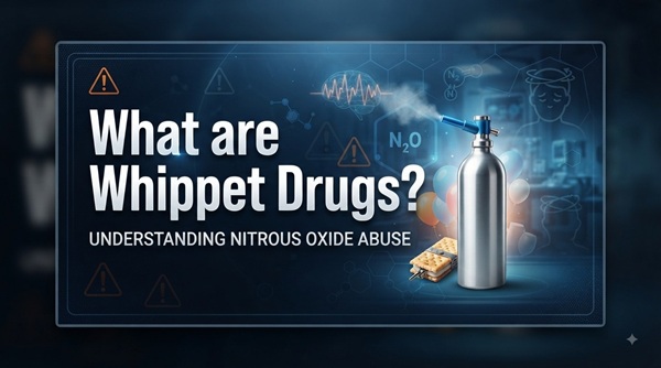 What are Whippet Drugs